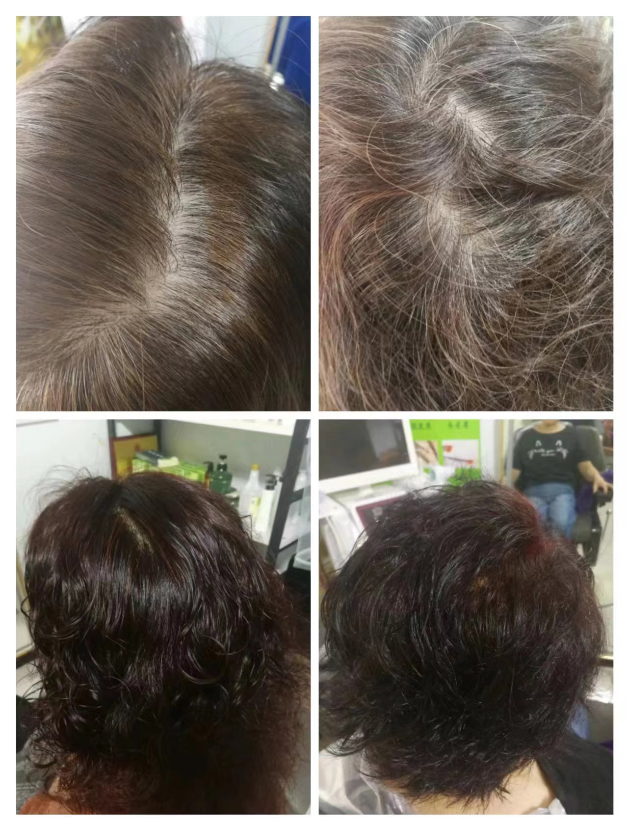 秀丝顿植物染发0化学添加，无伤害，让你的头发重新焕发生机！