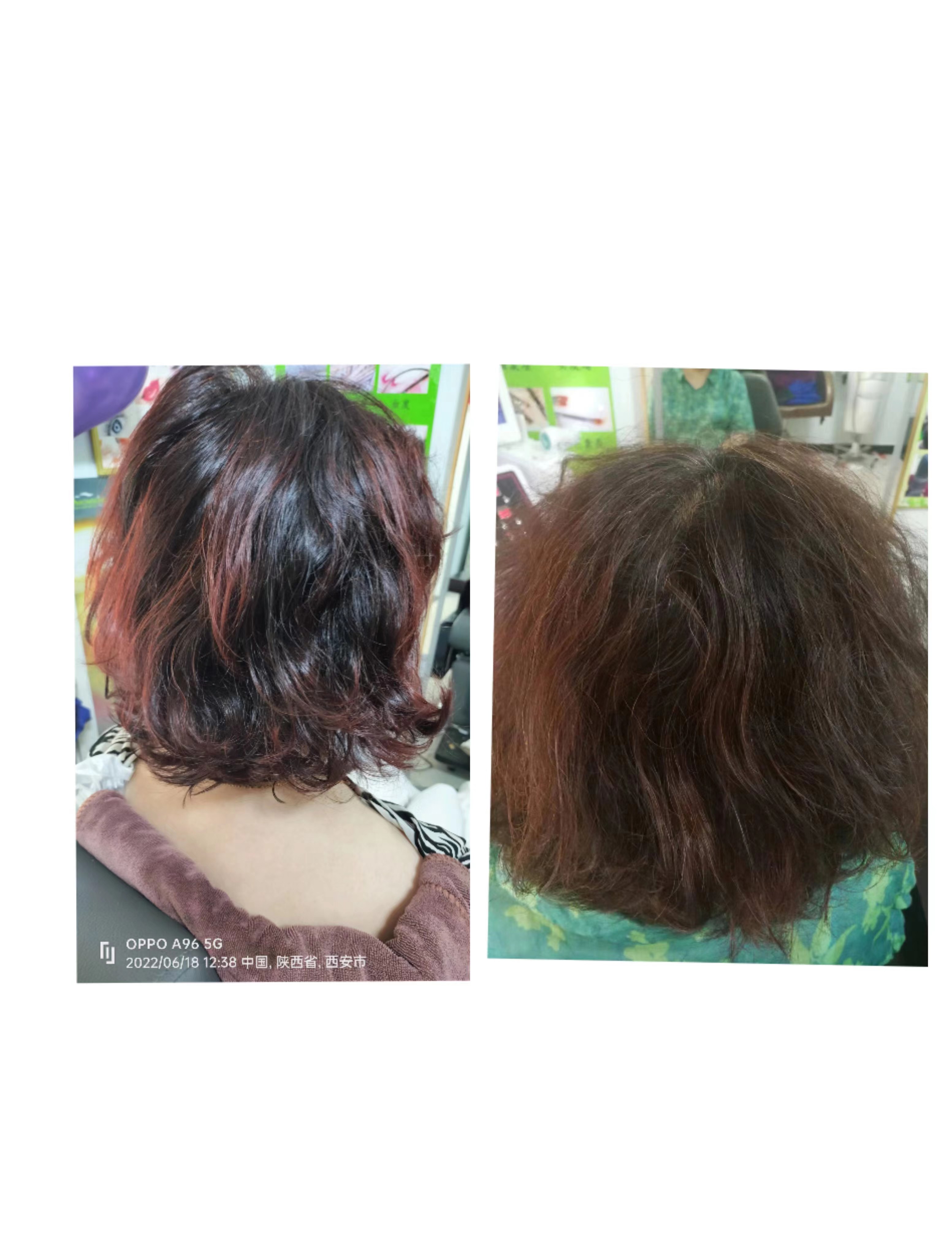 ˿ֲȾֲΪҪԭϣΪṩȫ