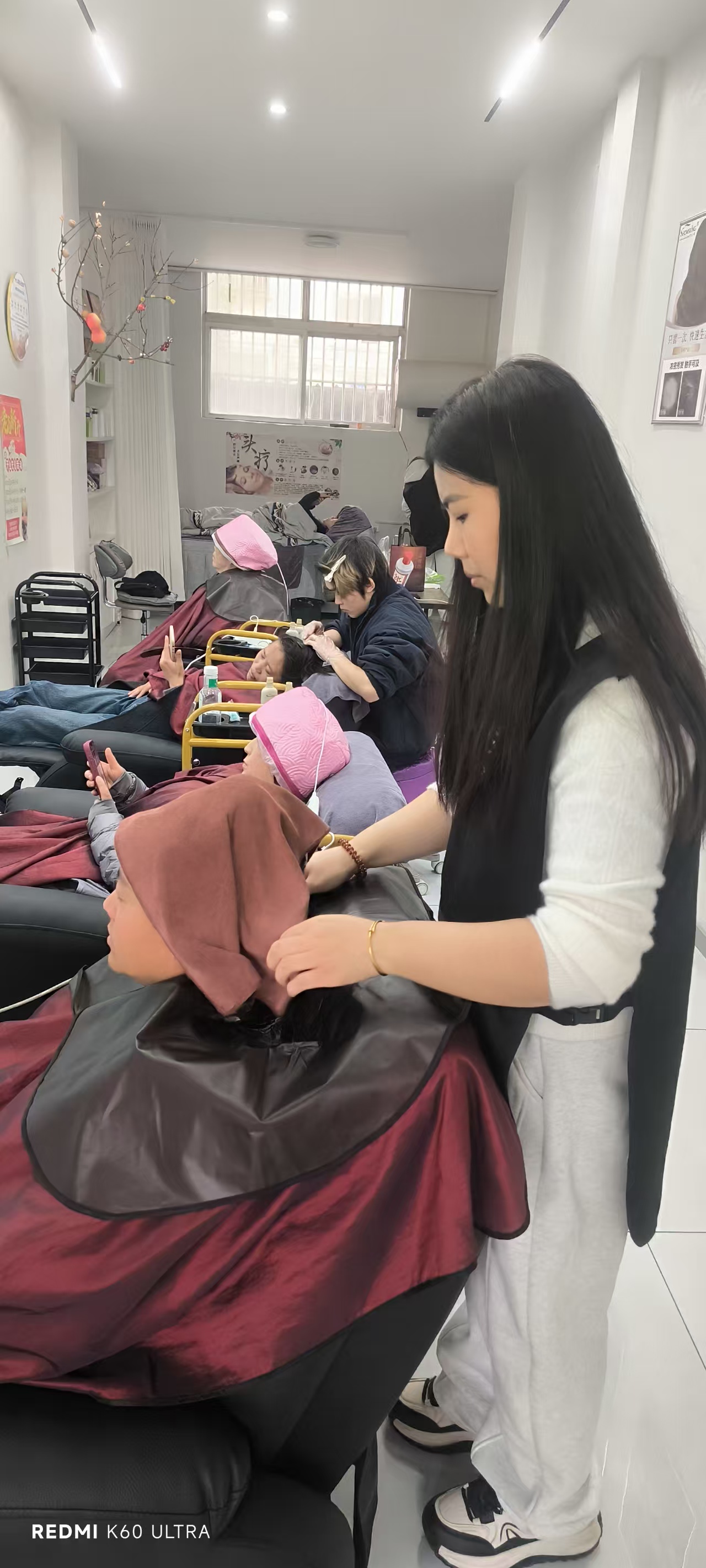 ��˿��ֲ�������������޸�����ķ��ɣ�ͬʱ�ǰ�ë��ͷƤ�ȴ��ﵽ��ĸ������޸���