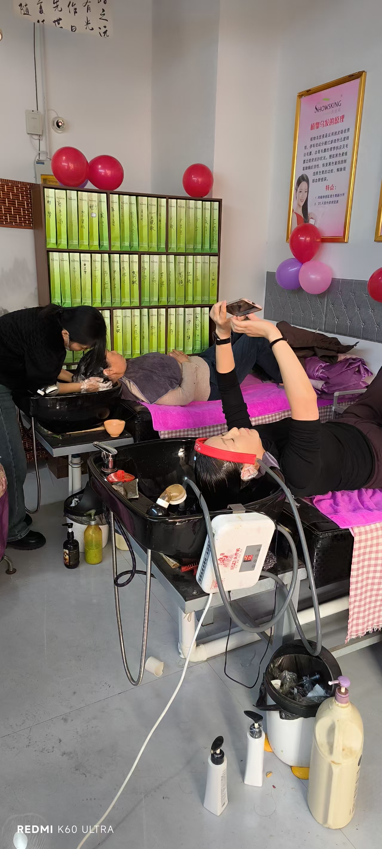 ��˿��ֲ��ͷ������ɢ����������ë��ͷƤ����Ļ�ѧ�����ų�����